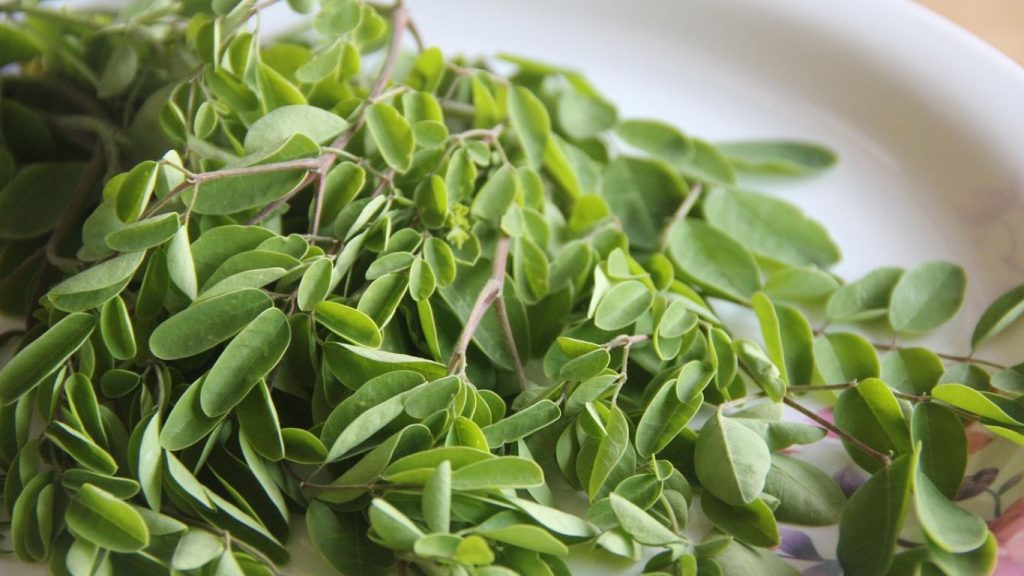 Benefits of Moringa for Skin